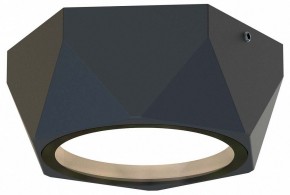 Накладной светильник Favourite Fantum 4670-1U в Ханты-Мансийске - hanty-mansiysk.ok-mebel.com | фото