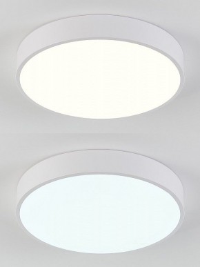 Накладной светильник Natali Kovaltseva  LED LAMPS 81111/5C в Ханты-Мансийске - hanty-mansiysk.ok-mebel.com | фото 4