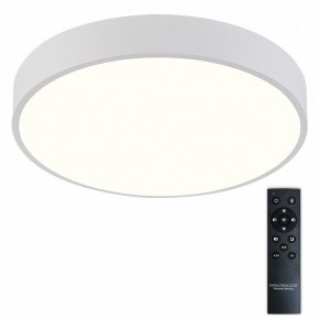 Накладной светильник Natali Kovaltseva  LED LAMPS 81112/5C в Ханты-Мансийске - hanty-mansiysk.ok-mebel.com | фото 2