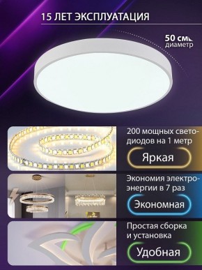 Накладной светильник Natali Kovaltseva  LED LAMPS 81112/5C в Ханты-Мансийске - hanty-mansiysk.ok-mebel.com | фото 4