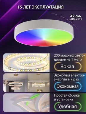 Накладной светильник Natali Kovaltseva MODERN LED LAMPS 81105/1C в Ханты-Мансийске - hanty-mansiysk.ok-mebel.com | фото 6