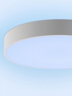 Накладной светильник Natali Kovaltseva MODERN LED LAMPS 81105/2C в Ханты-Мансийске - hanty-mansiysk.ok-mebel.com | фото 12