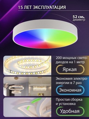 Накладной светильник Natali Kovaltseva MODERN LED LAMPS 81105/2C в Ханты-Мансийске - hanty-mansiysk.ok-mebel.com | фото 6