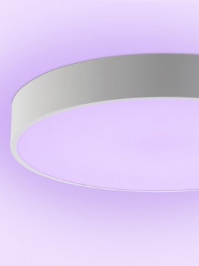 Накладной светильник Natali Kovaltseva MODERN LED LAMPS 81105/2C в Ханты-Мансийске - hanty-mansiysk.ok-mebel.com | фото 9