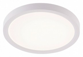 Накладной светильник Natali Kovaltseva PLAIN LED LAMPS 81113/1C в Ханты-Мансийске - hanty-mansiysk.ok-mebel.com | фото