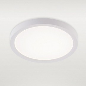 Накладной светильник Natali Kovaltseva PLAIN LED LAMPS 81113/1C в Ханты-Мансийске - hanty-mansiysk.ok-mebel.com | фото 2