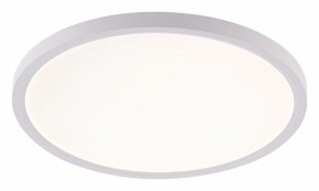 Накладной светильник Natali Kovaltseva PLAIN LED LAMPS 81113/3C в Ханты-Мансийске - hanty-mansiysk.ok-mebel.com | фото