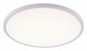 Накладной светильник Natali Kovaltseva PLAIN LED LAMPS 81113/5C в Ханты-Мансийске - hanty-mansiysk.ok-mebel.com | фото
