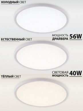Накладной светильник Natali Kovaltseva PLAIN LED LAMPS 81113/5C в Ханты-Мансийске - hanty-mansiysk.ok-mebel.com | фото 3