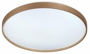 Накладной светильник Sonex Gaby 7783/EL в Ханты-Мансийске - hanty-mansiysk.ok-mebel.com | фото 4