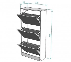 Обувница W8 в Ханты-Мансийске - hanty-mansiysk.ok-mebel.com | фото 2