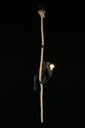 Подвесной светильник Aployt Magali APL.309.16.01 в Ханты-Мансийске - hanty-mansiysk.ok-mebel.com | фото 3