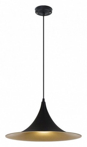 Подвесной светильник Arte Lamp Carmel A7080SP-1BK в Ханты-Мансийске - hanty-mansiysk.ok-mebel.com | фото 2