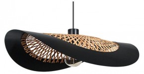 Подвесной светильник Arte Lamp Woodstock A7059SP-1BK в Ханты-Мансийске - hanty-mansiysk.ok-mebel.com | фото