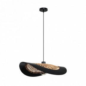 Подвесной светильник Arte Lamp Woodstock A7059SP-1BK в Ханты-Мансийске - hanty-mansiysk.ok-mebel.com | фото 2