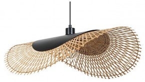 Подвесной светильник Arte Lamp Woodstock A7063SP-1BK в Ханты-Мансийске - hanty-mansiysk.ok-mebel.com | фото