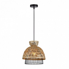 Подвесной светильник Arte Lamp Woodstock A7070SP-1BK в Ханты-Мансийске - hanty-mansiysk.ok-mebel.com | фото