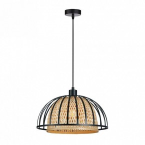 Подвесной светильник Arte Lamp Woodstock A7071SP-1BK в Ханты-Мансийске - hanty-mansiysk.ok-mebel.com | фото