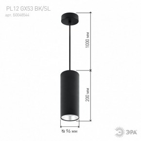 Подвесной светильник Эра  PL12 GX53 BK/SL в Ханты-Мансийске - hanty-mansiysk.ok-mebel.com | фото 8