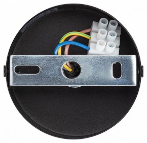 Подвесной светильник Эра  PL12 GX53 BK/SL в Ханты-Мансийске - hanty-mansiysk.ok-mebel.com | фото 9