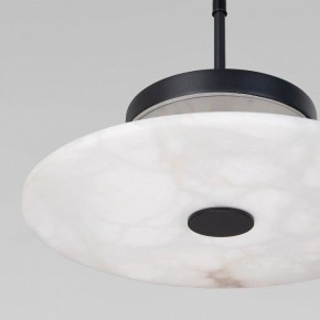 Подвесной светильник Eurosvet Thasos 40342 LED черный в Ханты-Мансийске - hanty-mansiysk.ok-mebel.com | фото 8