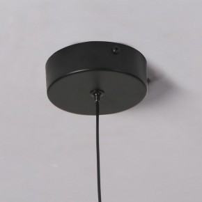Подвесной светильник Favourite Wilet 4656-1P в Ханты-Мансийске - hanty-mansiysk.ok-mebel.com | фото 10