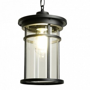 Подвесной светильник Feron PL765 51819 в Ханты-Мансийске - hanty-mansiysk.ok-mebel.com | фото 3