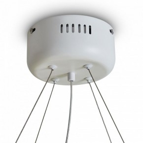 Подвесной светильник Freya Rain FR5546PL-L60W в Ханты-Мансийске - hanty-mansiysk.ok-mebel.com | фото 9