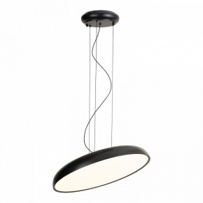 Подвесной светильник Lussole Crook LSP-7360 в Ханты-Мансийске - hanty-mansiysk.ok-mebel.com | фото 2