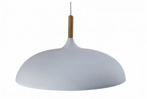 Подвесной светильник Moderli Hygo V11447-1P в Ханты-Мансийске - hanty-mansiysk.ok-mebel.com | фото
