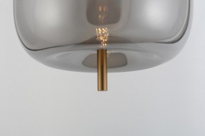Подвесной светильник Rivoli Claire Б0061905 в Ханты-Мансийске - hanty-mansiysk.ok-mebel.com | фото 11