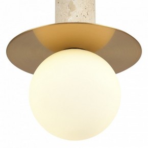 Подвесной светильник ST-Luce Earthy SL1194.303.01 в Ханты-Мансийске - hanty-mansiysk.ok-mebel.com | фото 5