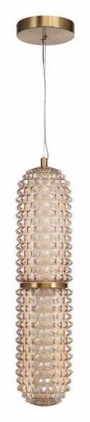 Подвесной светильник ST-Luce SAGUARO SL6144.303.01 в Ханты-Мансийске - hanty-mansiysk.ok-mebel.com | фото 3