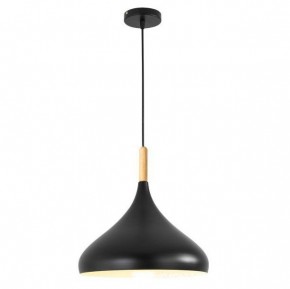 Подвесной светильник TopDecor Molto Molto S2 12 в Ханты-Мансийске - hanty-mansiysk.ok-mebel.com | фото