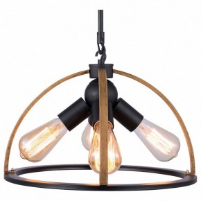 Подвесной светильник TopLight Jasmin TL1179H-04BK в Ханты-Мансийске - hanty-mansiysk.ok-mebel.com | фото