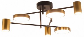 Потолочная люстра Kink Light Рапис 07645-6D,19(20) в Ханты-Мансийске - hanty-mansiysk.ok-mebel.com | фото