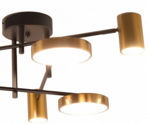Потолочная люстра Kink Light Рапис 07645-6D,19(20) в Ханты-Мансийске - hanty-mansiysk.ok-mebel.com | фото 2