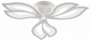 Потолочная люстра Natali Kovaltseva FORTUNA LED LAMPS 81107/2C в Ханты-Мансийске - hanty-mansiysk.ok-mebel.com | фото