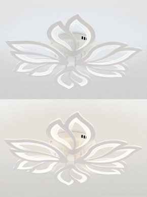 Потолочная люстра Natali Kovaltseva FORTUNA LED LAMPS 81107/6C в Ханты-Мансийске - hanty-mansiysk.ok-mebel.com | фото 4