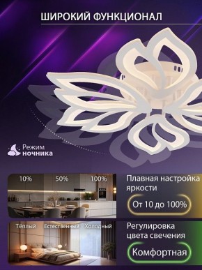 Потолочная люстра Natali Kovaltseva FORTUNA LED LAMPS 81107/6C в Ханты-Мансийске - hanty-mansiysk.ok-mebel.com | фото 6