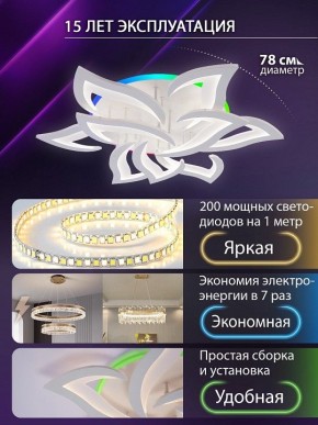 Потолочная люстра Natali Kovaltseva OLIMP LED LAMPS 81435 в Ханты-Мансийске - hanty-mansiysk.ok-mebel.com | фото 5