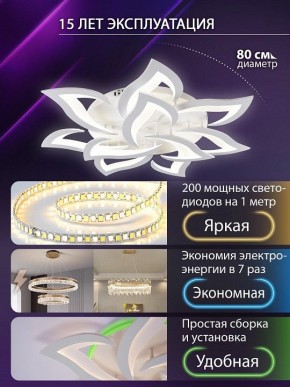 Потолочная люстра Natali Kovaltseva OLIMP LED SMART 84005 в Ханты-Мансийске - hanty-mansiysk.ok-mebel.com | фото 5