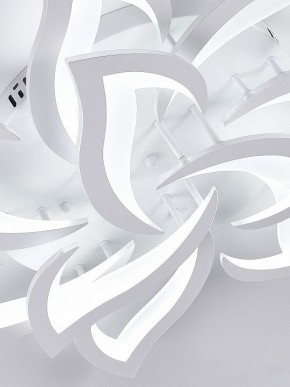 Потолочная люстра Natali Kovaltseva OLIMP LED SMART 84005 в Ханты-Мансийске - hanty-mansiysk.ok-mebel.com | фото 9