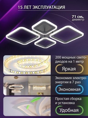 Потолочная люстра Natali Kovaltseva OPTI LED LAMPS 81108/2C в Ханты-Мансийске - hanty-mansiysk.ok-mebel.com | фото 5
