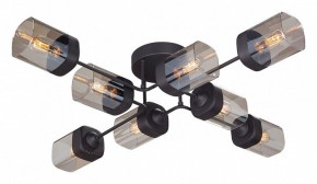 Потолочная люстра Vitaluce 4889 V4889-1/8PL в Ханты-Мансийске - hanty-mansiysk.ok-mebel.com | фото