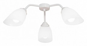 Потолочная люстра Vitaluce V31950 V31950/3PL в Ханты-Мансийске - hanty-mansiysk.ok-mebel.com | фото