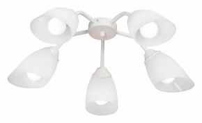 Потолочная люстра Vitaluce V31950 V31950/5PL в Ханты-Мансийске - hanty-mansiysk.ok-mebel.com | фото