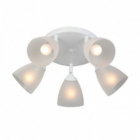 Потолочная люстра Vitaluce V4355 V4355-0/5PL в Ханты-Мансийске - hanty-mansiysk.ok-mebel.com | фото 3