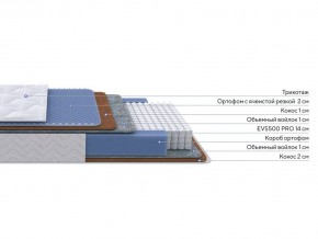 PROxSON Матрас Active Duo M/F (Ткань Трикотаж Эко) 160x200 в Ханты-Мансийске - hanty-mansiysk.ok-mebel.com | фото 2
