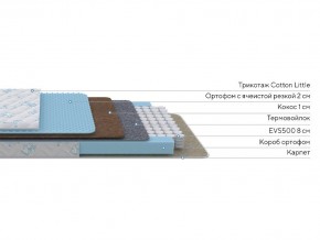 PROxSON Матрас Совенок (Print) 70x170 в Ханты-Мансийске - hanty-mansiysk.ok-mebel.com | фото 12